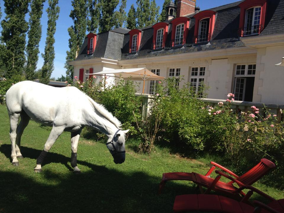 Le Domaine De Barbizon Hotel Saint-Martin-en-Biere Exterior foto
